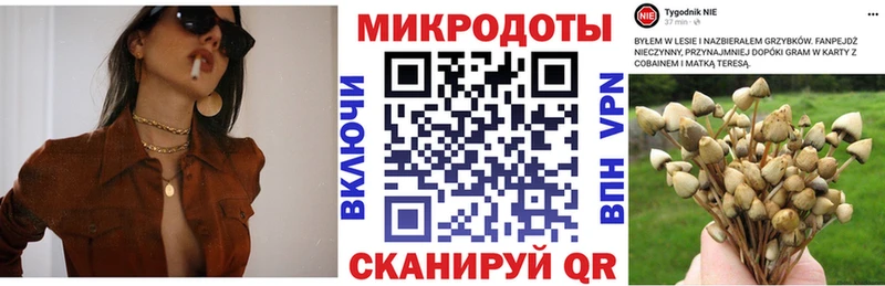 Галлюциногенные грибы прущие грибы  Судогда 